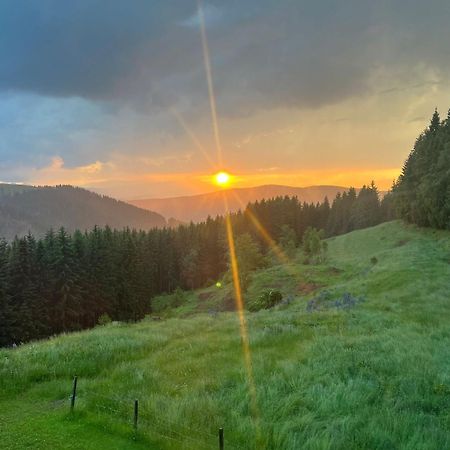 Forsthaus Gray 4 Villa Sankt Veit an der Glan Bagian luar foto