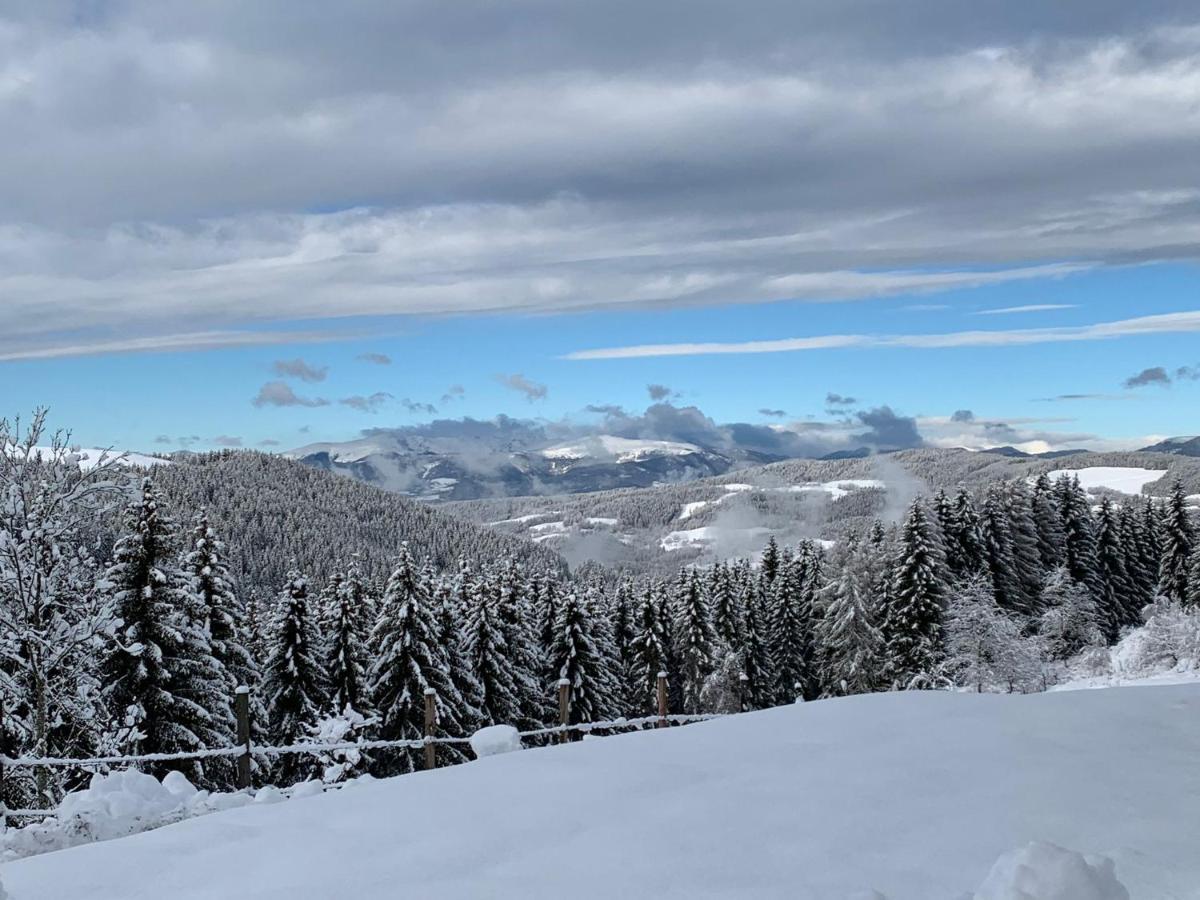 Forsthaus Gray 4 Villa Sankt Veit an der Glan Bagian luar foto